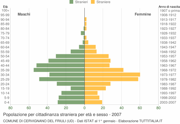 Grafico cittadini stranieri - Cervignano del Friuli 2007