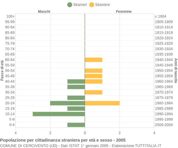 Grafico cittadini stranieri - Cercivento 2005