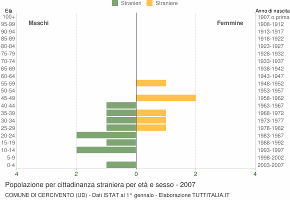 Grafico cittadini stranieri - Cercivento 2007