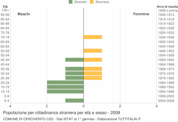 Grafico cittadini stranieri - Cercivento 2008