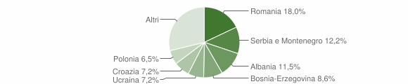 Grafico cittadinanza stranieri - Faedis 2006