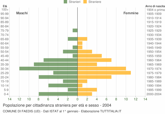 Grafico cittadini stranieri - Faedis 2004