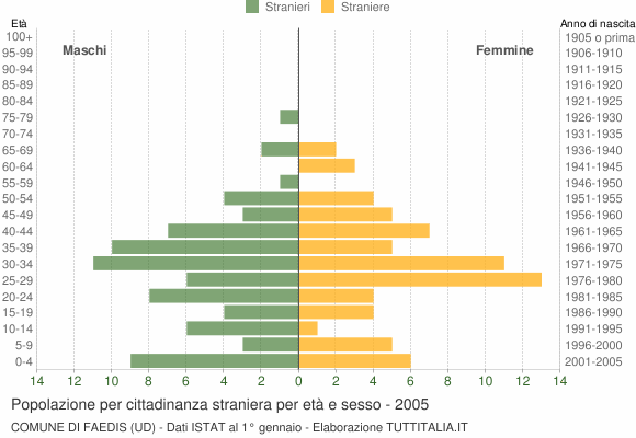 Grafico cittadini stranieri - Faedis 2005