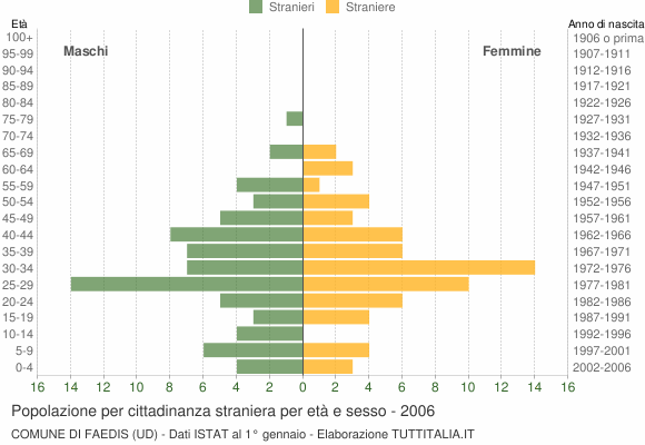 Grafico cittadini stranieri - Faedis 2006