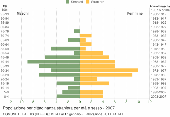 Grafico cittadini stranieri - Faedis 2007