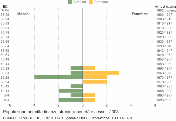 Grafico cittadini stranieri - Visco 2003