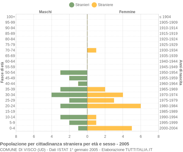 Grafico cittadini stranieri - Visco 2005