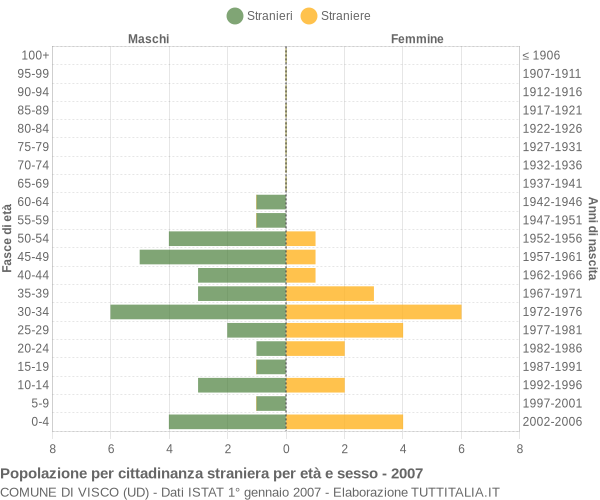 Grafico cittadini stranieri - Visco 2007