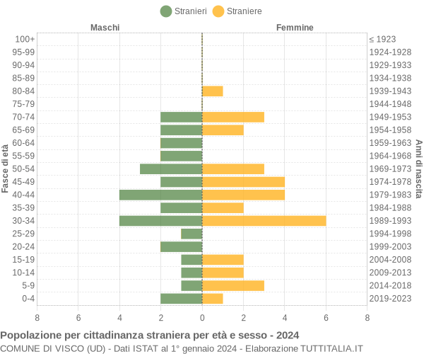 Grafico cittadini stranieri - Visco 2024