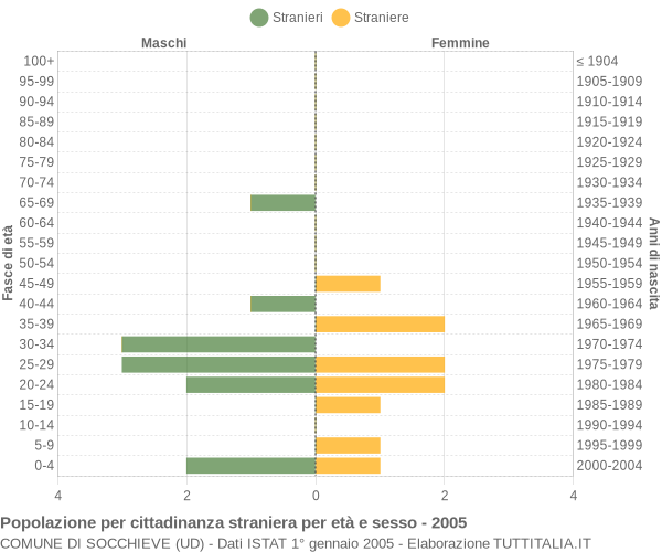 Grafico cittadini stranieri - Socchieve 2005