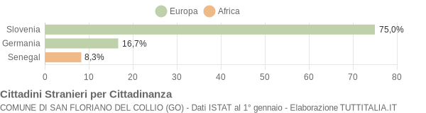 Grafico cittadinanza stranieri - San Floriano del Collio 2004