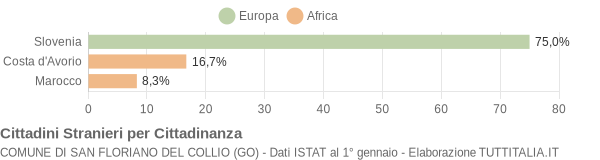 Grafico cittadinanza stranieri - San Floriano del Collio 2006