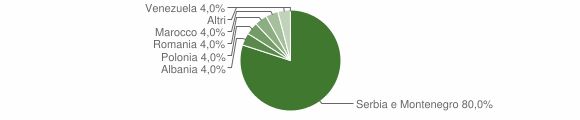 Grafico cittadinanza stranieri - Comeglians 2007