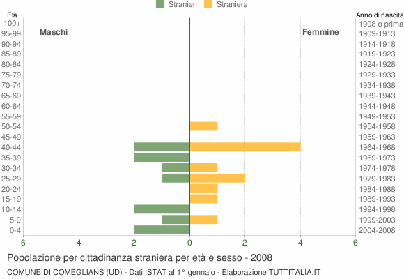Grafico cittadini stranieri - Comeglians 2008