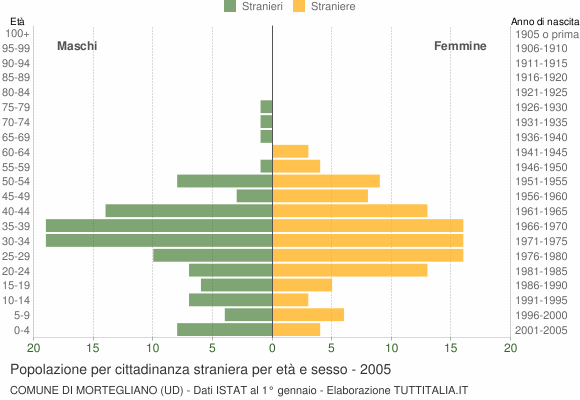 Grafico cittadini stranieri - Mortegliano 2005