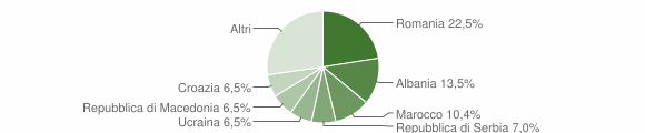 Grafico cittadinanza stranieri - Caneva 2009