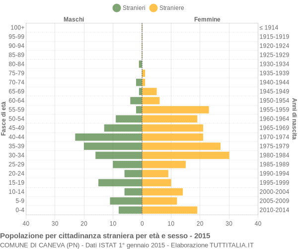 Grafico cittadini stranieri - Caneva 2015