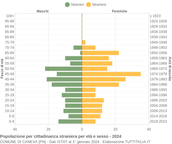 Grafico cittadini stranieri - Caneva 2024