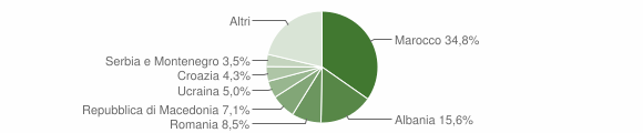 Grafico cittadinanza stranieri - Nimis 2007