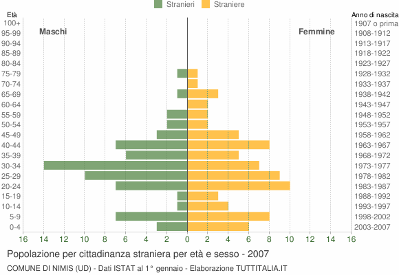 Grafico cittadini stranieri - Nimis 2007