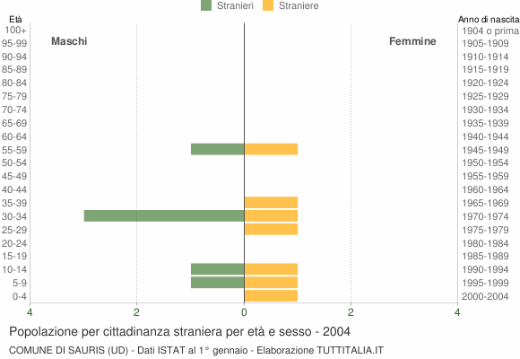 Grafico cittadini stranieri - Sauris 2004