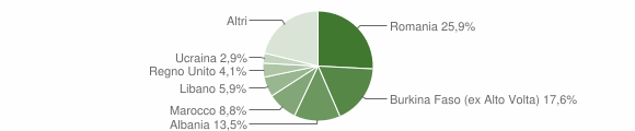 Grafico cittadinanza stranieri - Pinzano al Tagliamento 2010
