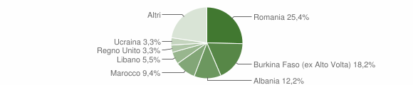 Grafico cittadinanza stranieri - Pinzano al Tagliamento 2011