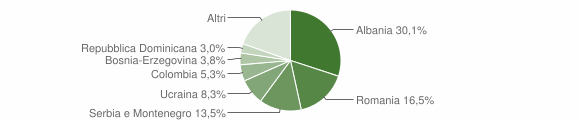 Grafico cittadinanza stranieri - Povoletto 2008