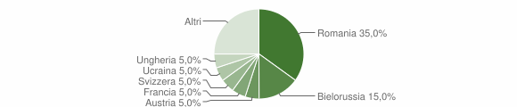 Grafico cittadinanza stranieri - Verzegnis 2005