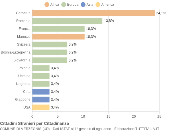 Grafico cittadinanza stranieri - Verzegnis 2009