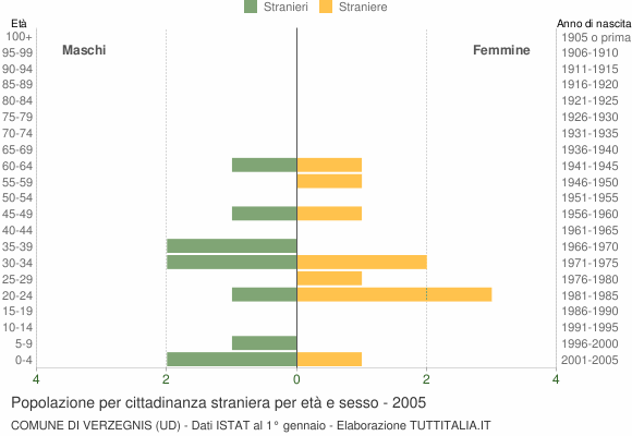 Grafico cittadini stranieri - Verzegnis 2005