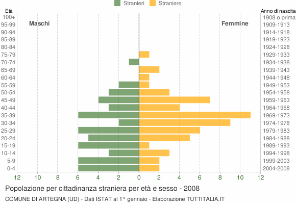 Grafico cittadini stranieri - Artegna 2008