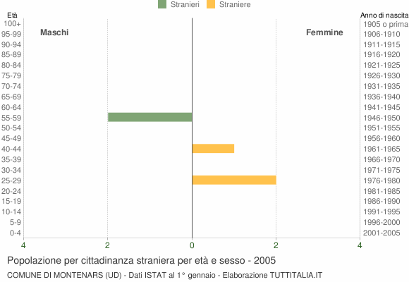 Grafico cittadini stranieri - Montenars 2005