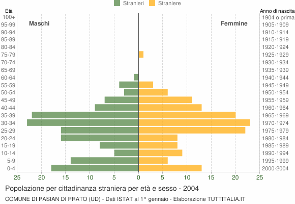Grafico cittadini stranieri - Pasian di Prato 2004