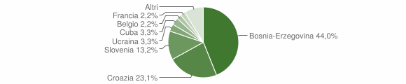 Grafico cittadinanza stranieri - Pulfero 2004