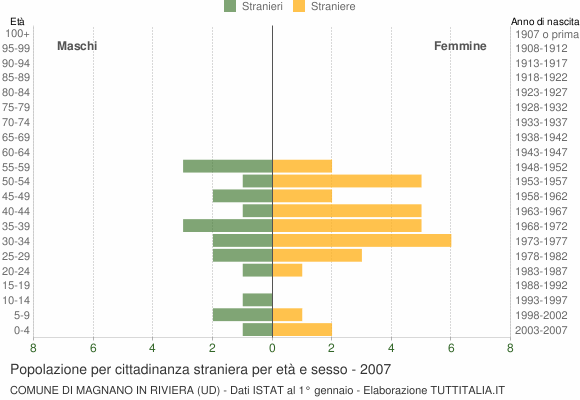 Grafico cittadini stranieri - Magnano in Riviera 2007