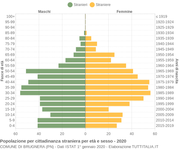 Grafico cittadini stranieri - Brugnera 2020