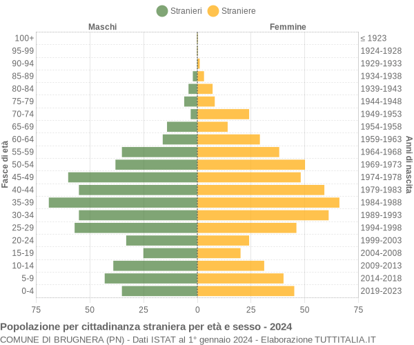 Grafico cittadini stranieri - Brugnera 2024