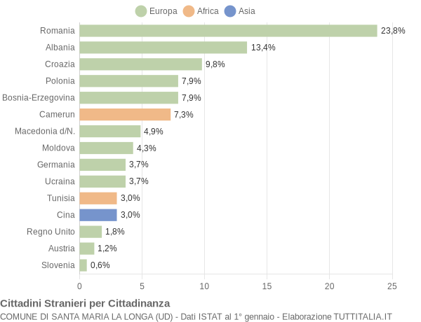 Grafico cittadinanza stranieri - Santa Maria la Longa 2009