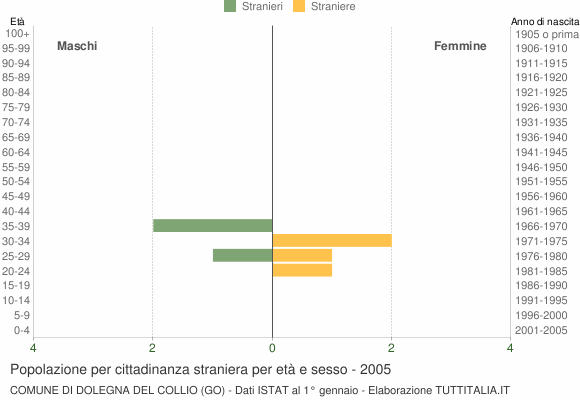 Grafico cittadini stranieri - Dolegna del Collio 2005