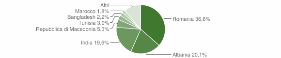 Grafico cittadinanza stranieri - Pasiano di Pordenone 2009