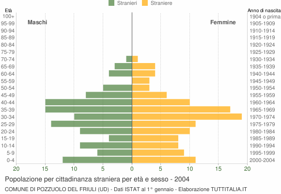 Grafico cittadini stranieri - Pozzuolo del Friuli 2004