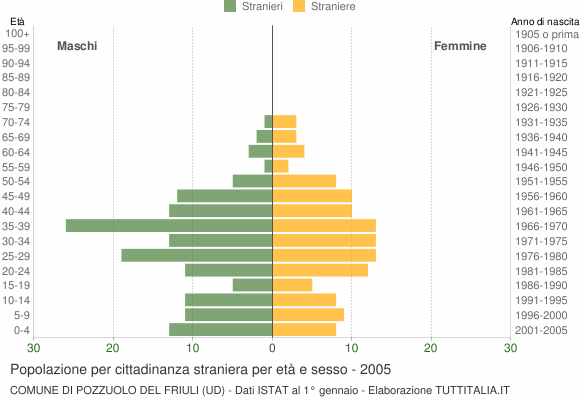 Grafico cittadini stranieri - Pozzuolo del Friuli 2005
