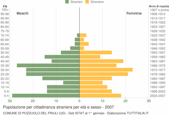 Grafico cittadini stranieri - Pozzuolo del Friuli 2007