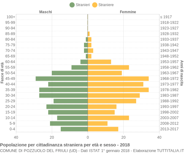 Grafico cittadini stranieri - Pozzuolo del Friuli 2018