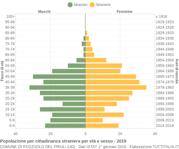 Grafico cittadini stranieri - Pozzuolo del Friuli 2019