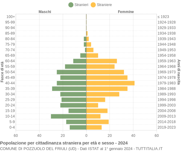 Grafico cittadini stranieri - Pozzuolo del Friuli 2024