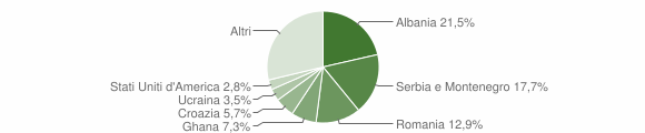 Grafico cittadinanza stranieri - Campoformido 2006