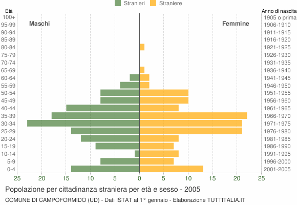 Grafico cittadini stranieri - Campoformido 2005