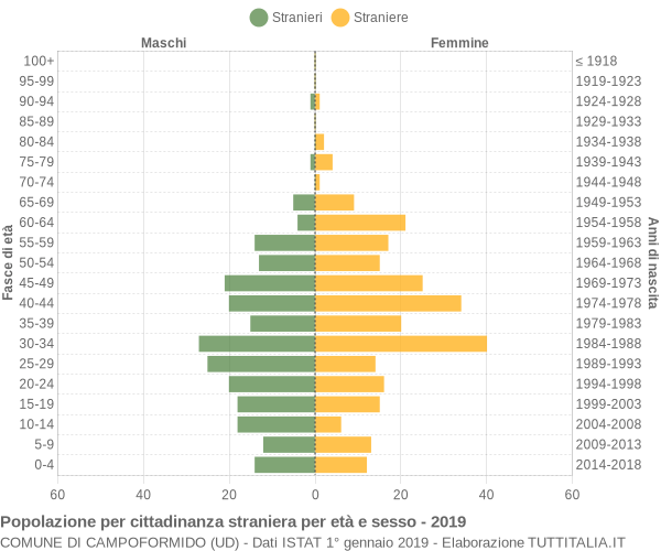 Grafico cittadini stranieri - Campoformido 2019